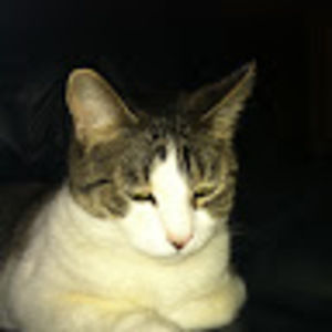 Meet your Posher, Judith